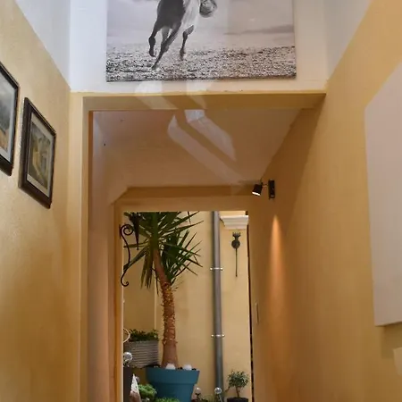 Apartment Studio Duplex- Climatise - Centre Nîmes