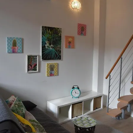 Apartment Studio Duplex- Climatise - Centre *